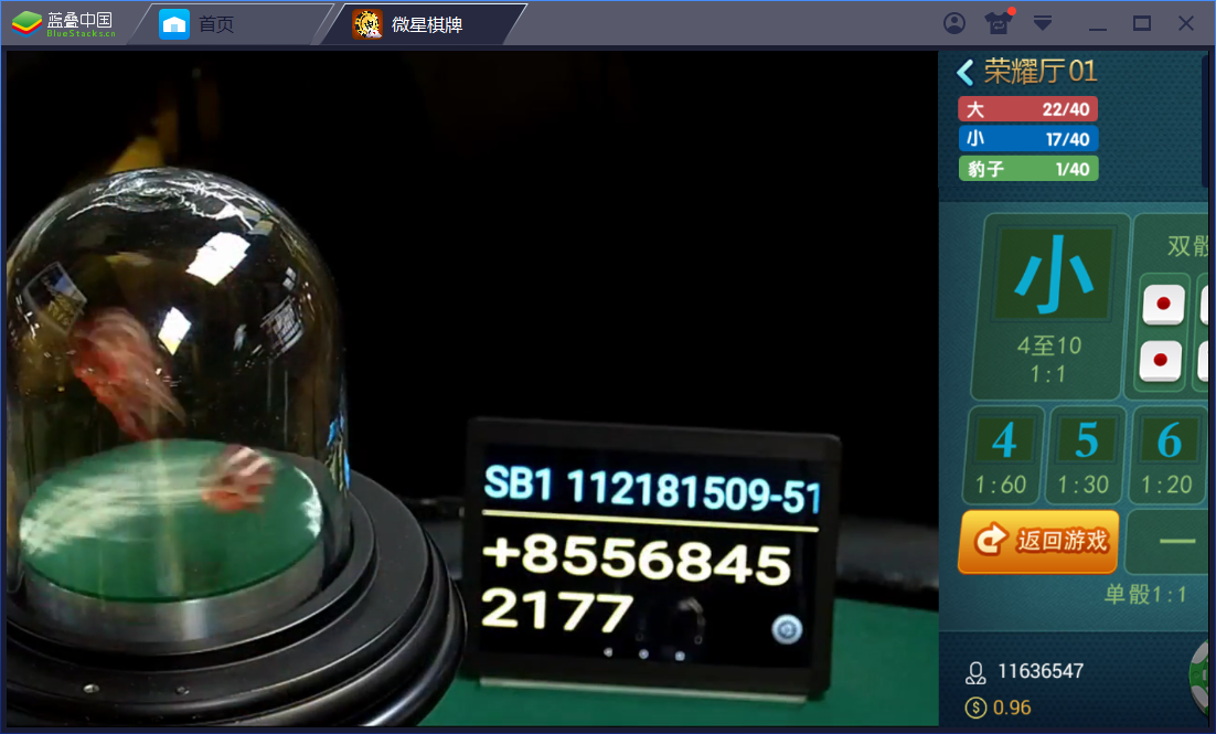 真钱1：1 微星棋牌娱乐 23个子游戏 - 九牛源码网