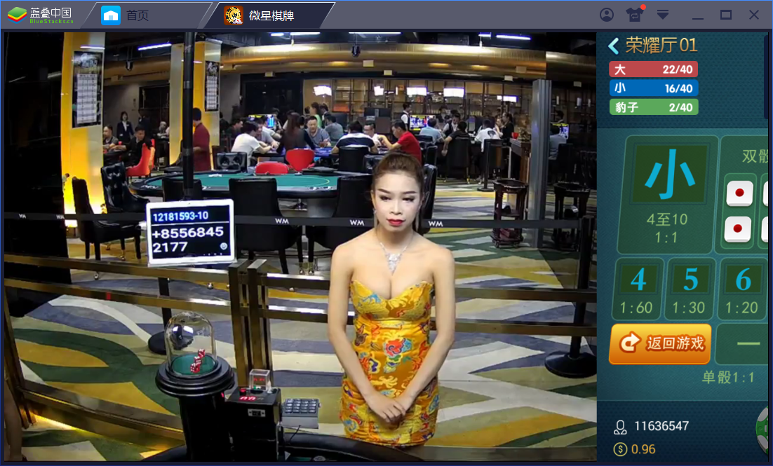 真钱1：1 微星棋牌娱乐 23个子游戏 - 九牛源码网
