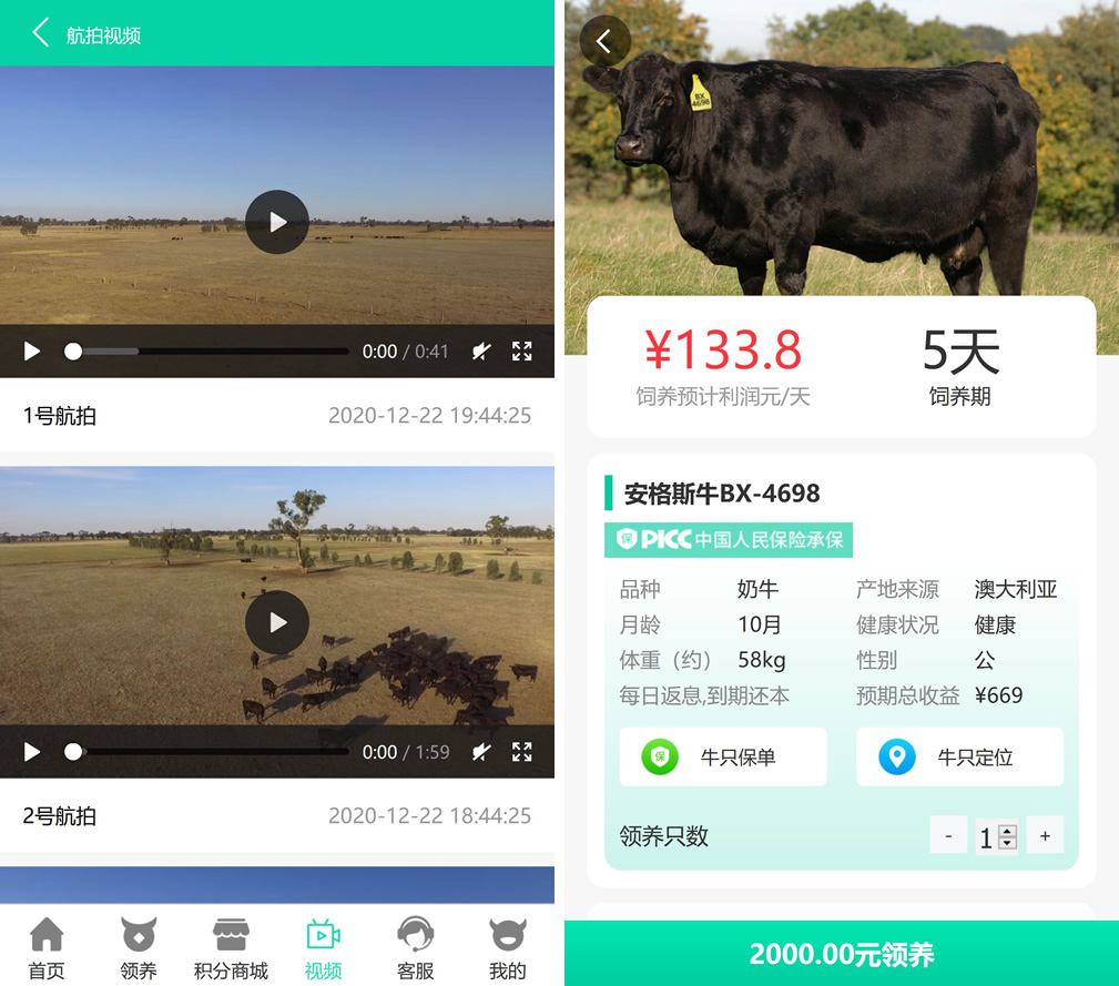 最新版牧场养牛游戏挖矿理财源码，带积分商城+抽奖+会员特权 - 九牛源码网