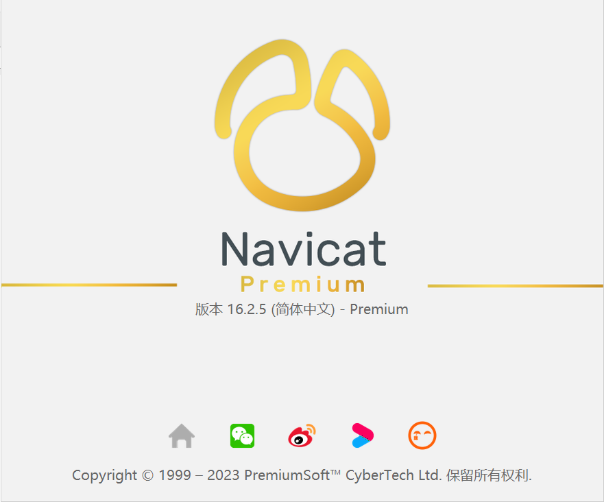 数据库管理工具Navicat premium 16绿色中文版