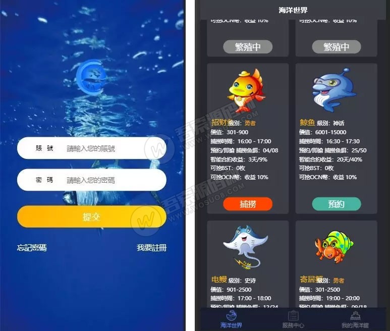 华登区块狗1.jpg
