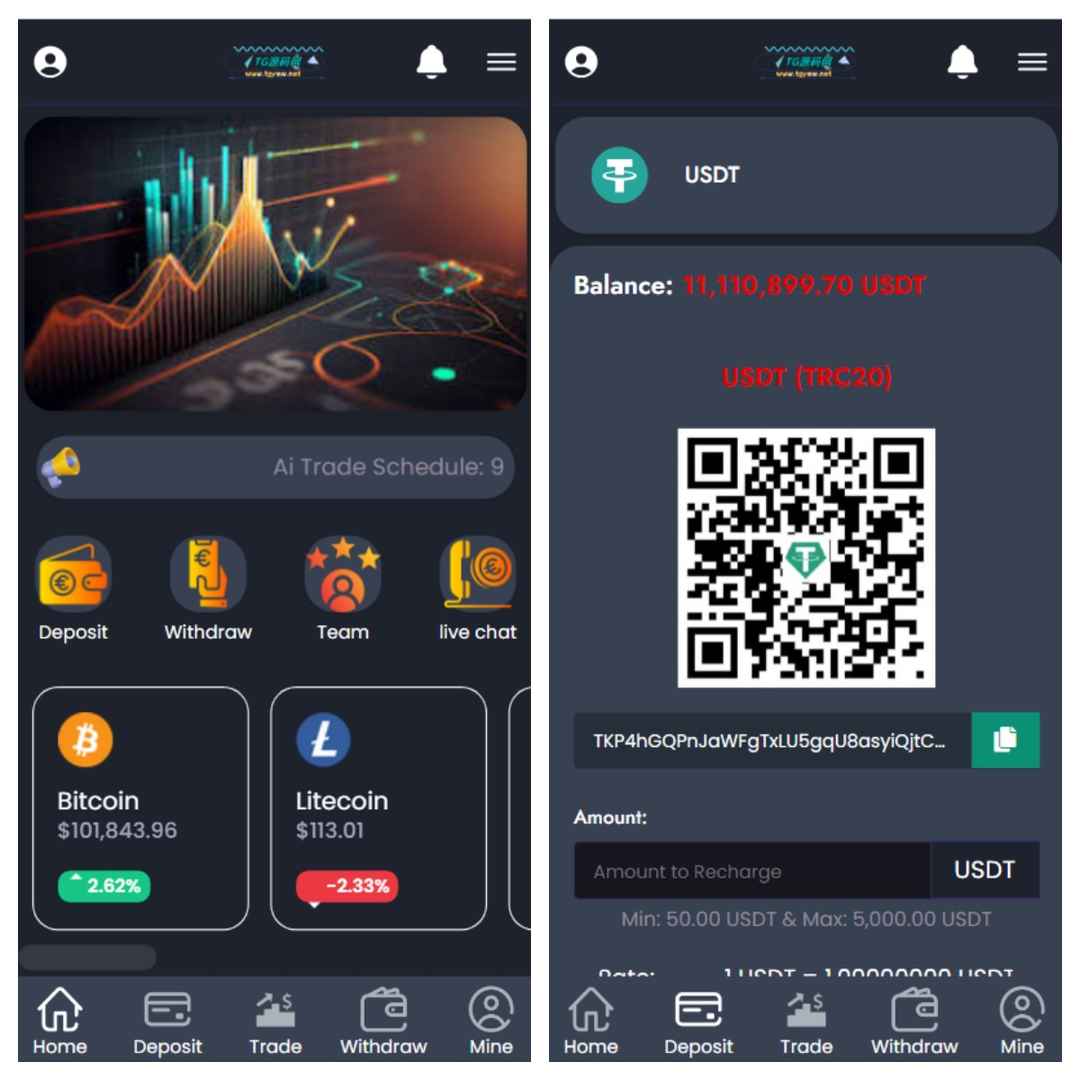 海外项目虚拟币交易投资理财系统/区块链微交易源码/带视频搭建教程