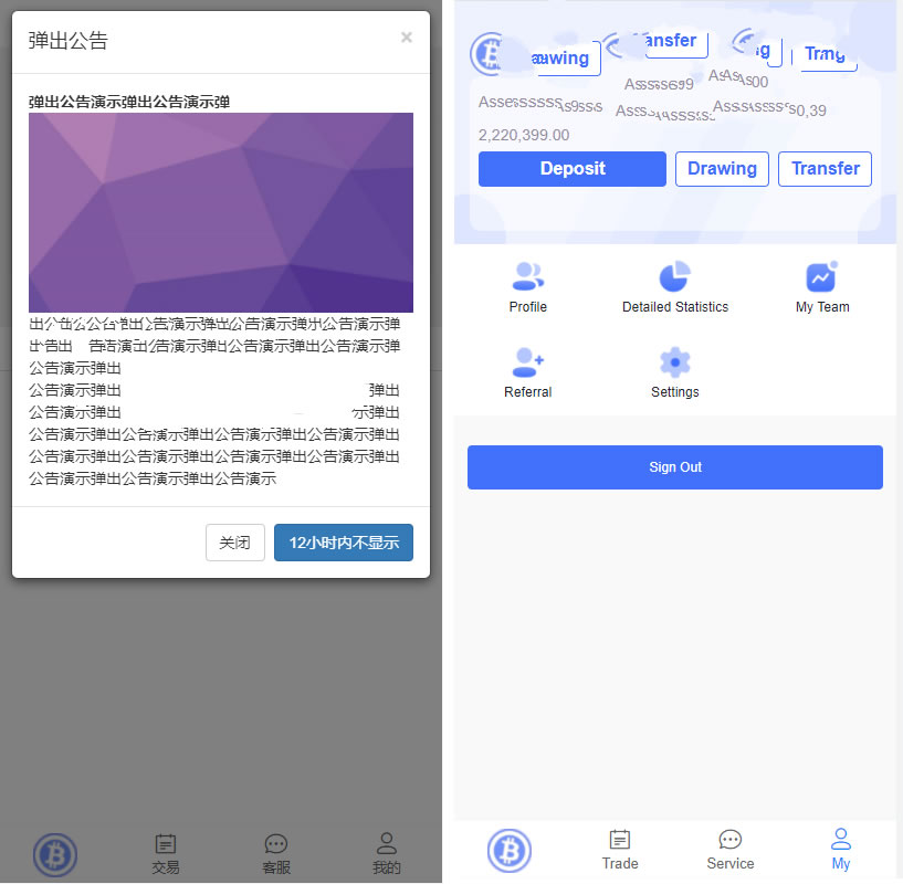 双语言版虚拟币投资系统 USDT充值源码 - 九牛源码网