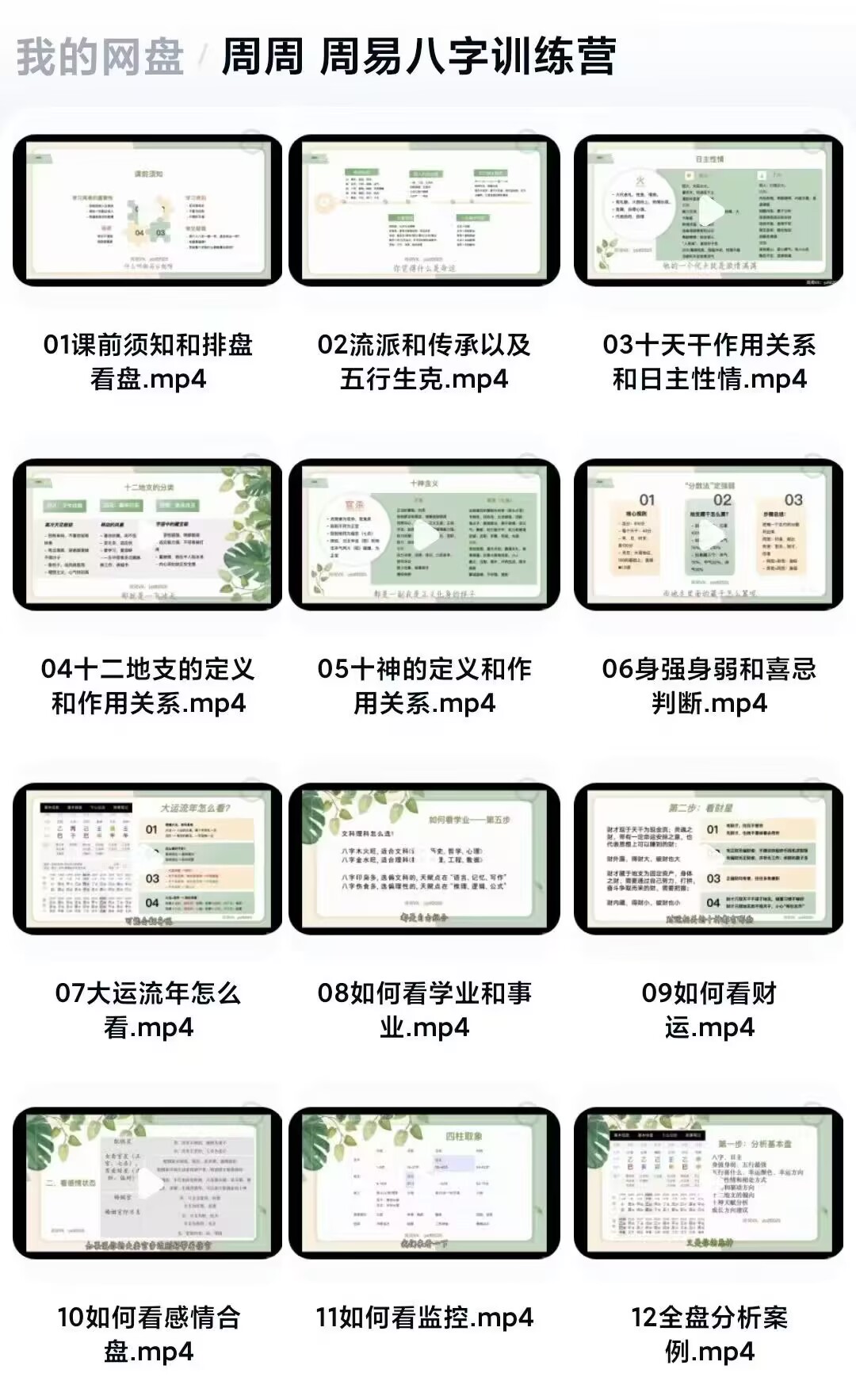 周周 《周易八字训练营》视频12集