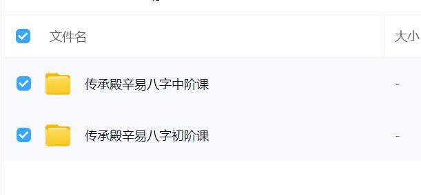 辛易四柱八字（2套）