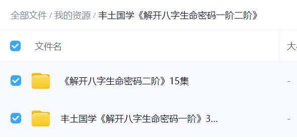 丰土国学《解开八字生命密码一阶二阶》（2套）