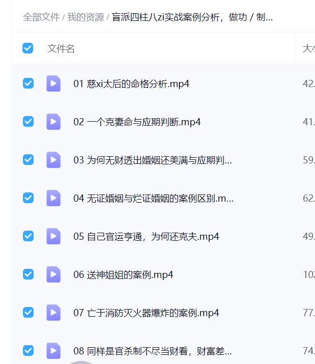 盲派四柱八字实战案例分析，做功／制用／旺衰／宾主／格局，刑冲迫害16集