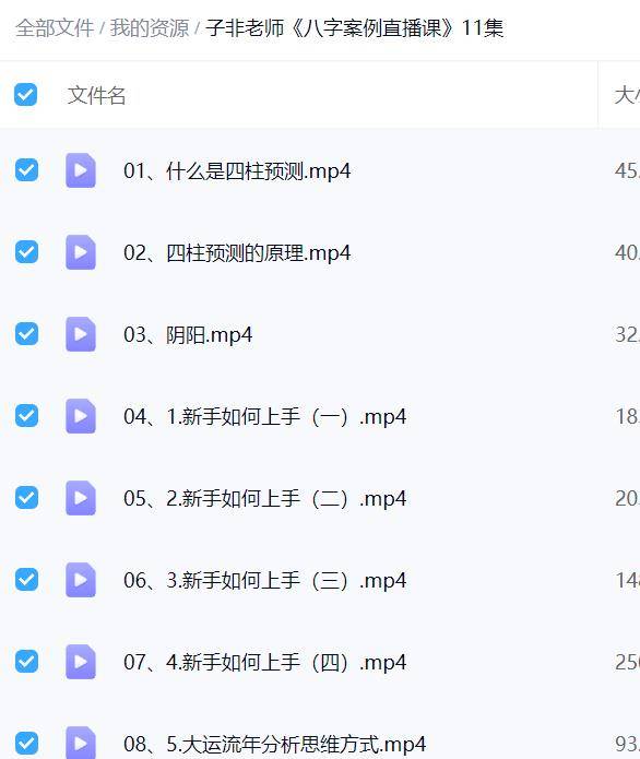 子非老师《八字案例直播课》11集