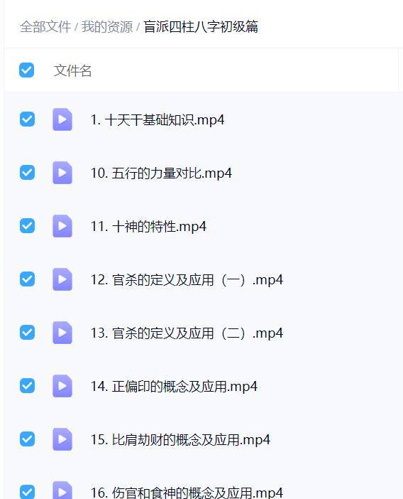 盲派四柱八字初级篇29集