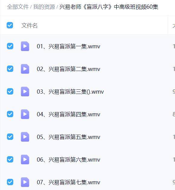 兴易老师《盲派八字》中高级班视频60集