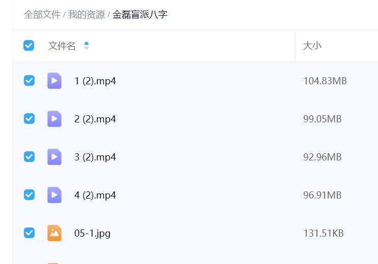金磊盲派八字 视频+文字共15个文件