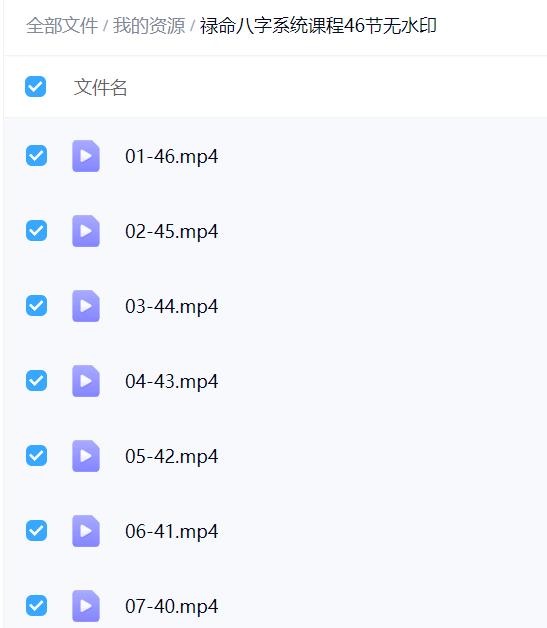 禄命八字系统课程46节无水印