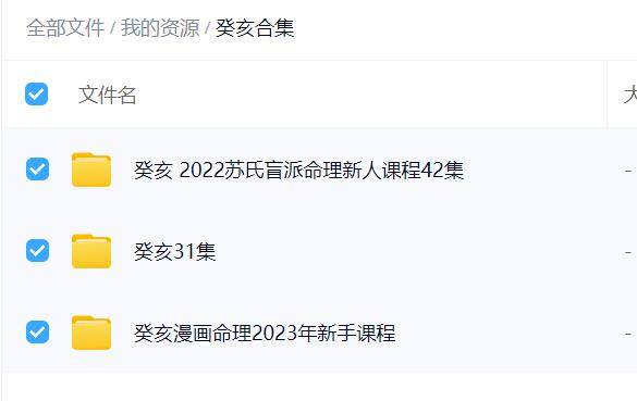 癸亥老师八字合集（3套）