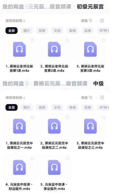 蔡婉云《元辰宫初中级》音频课共8节
