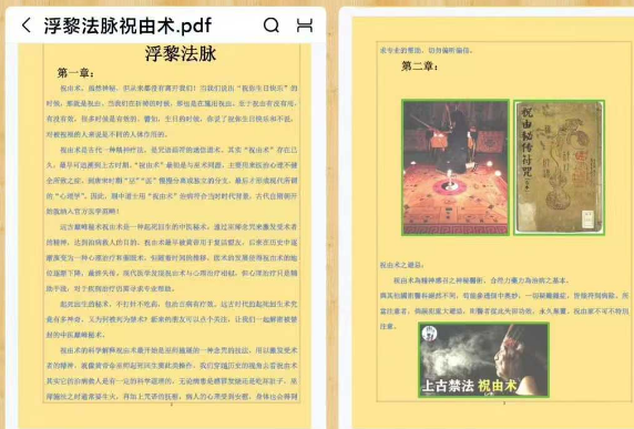 《浮黎法脉祝由术》 27页