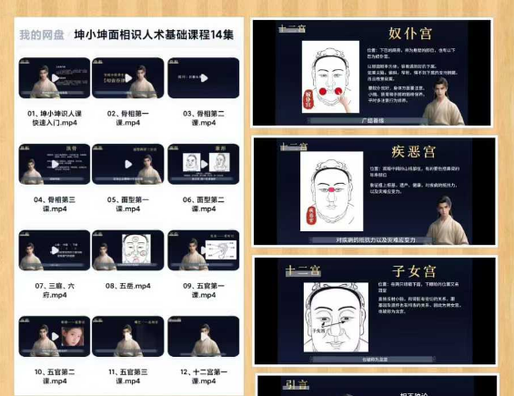 坤小坤《面相识人术》基础14集