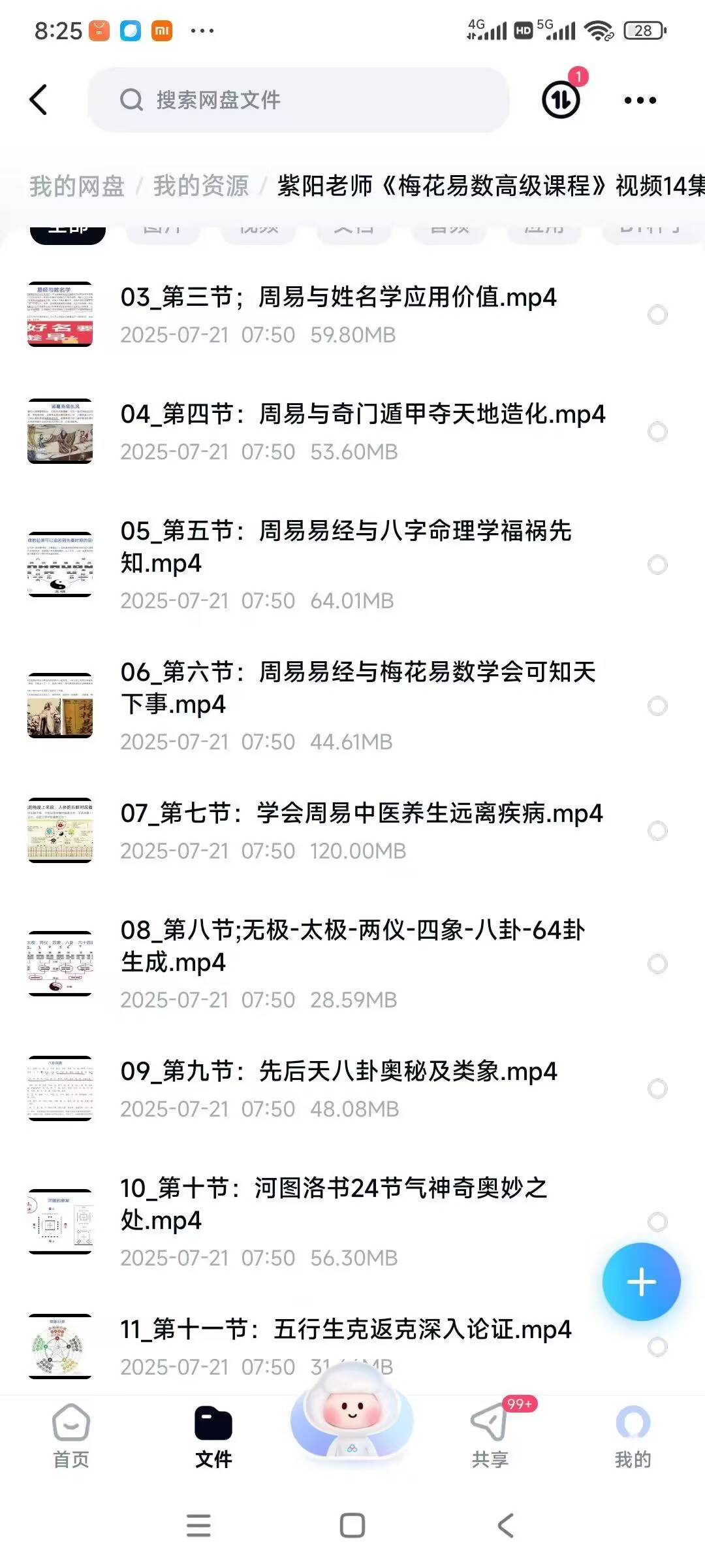紫阳老师《梅花易数高级课程》视频14集