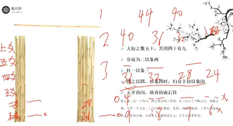 杨昀燊《达摩一掌经》教学视频7集