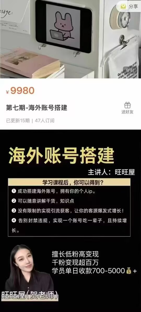 【玄学变现】旺旺屋竹竹老师·海外账号搭建15集