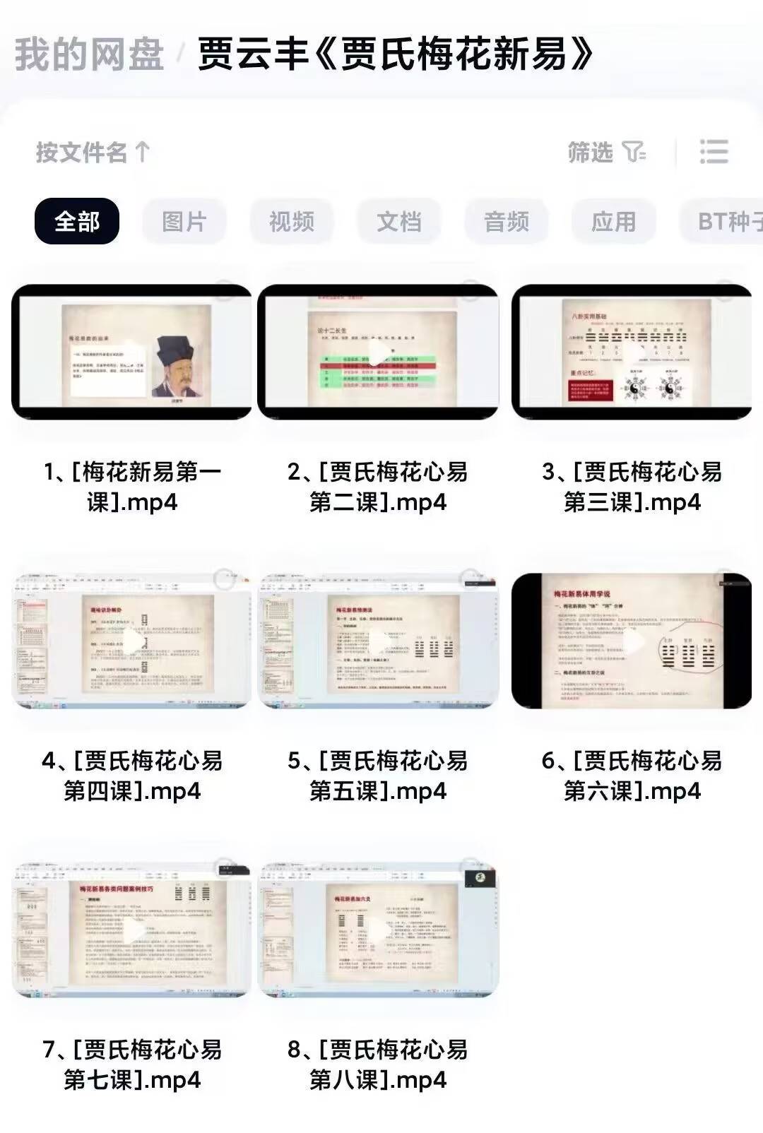 贾云丰《贾氏梅花新易》教学视频8集