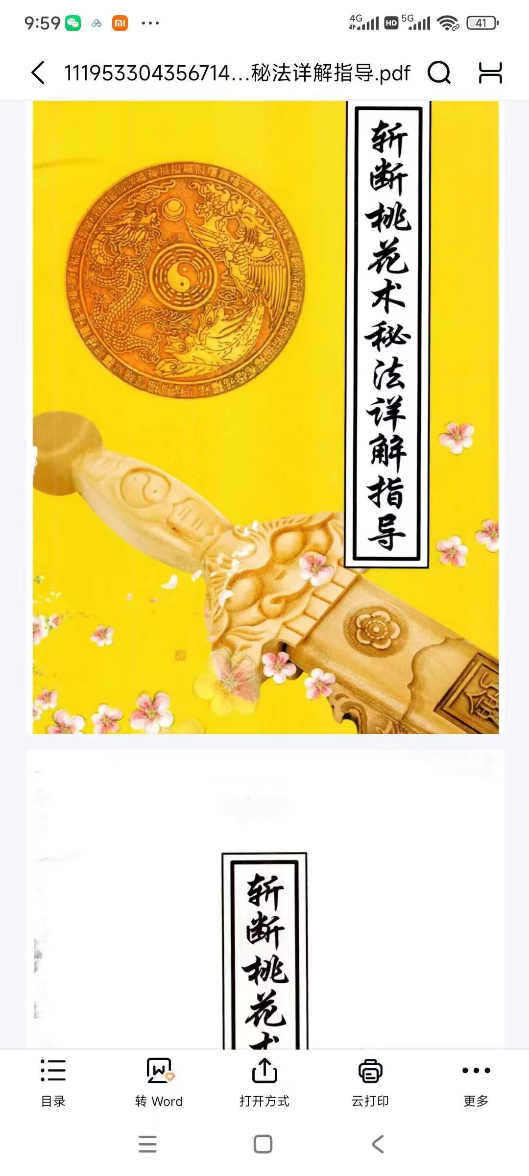 《斩断桃花术秘法详解指导》31页