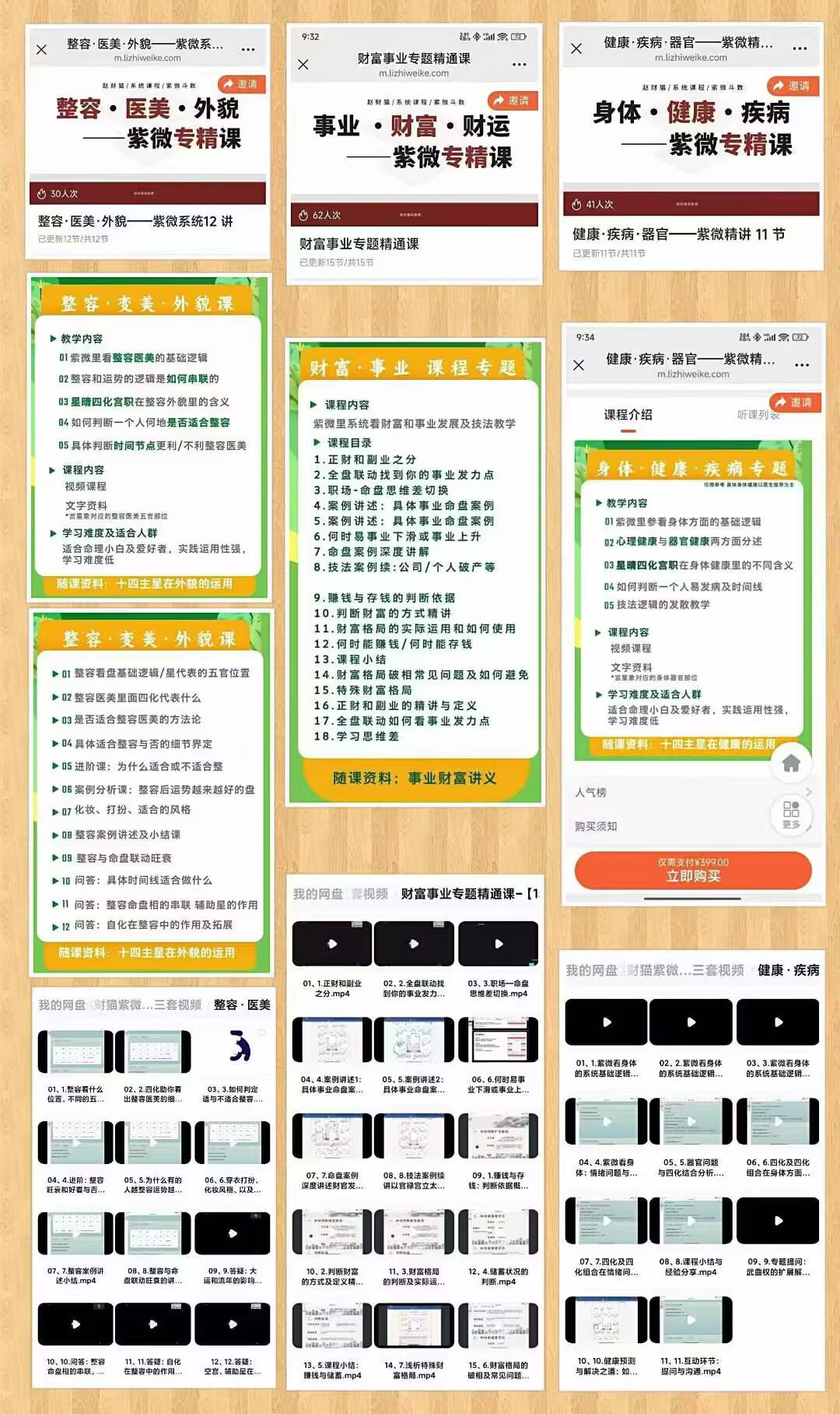 紫微专题赵财猫紫微小课专题三套视频合集