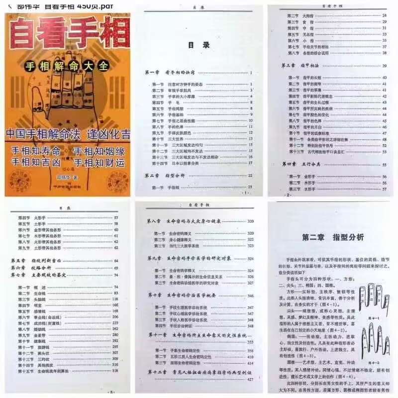 邵伟华 自看手相450页