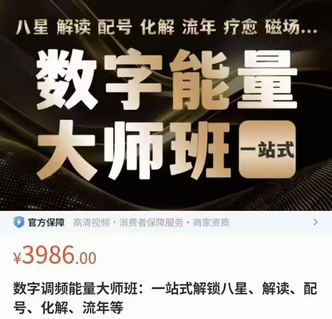 数字能量数字调频能量大师班 50集