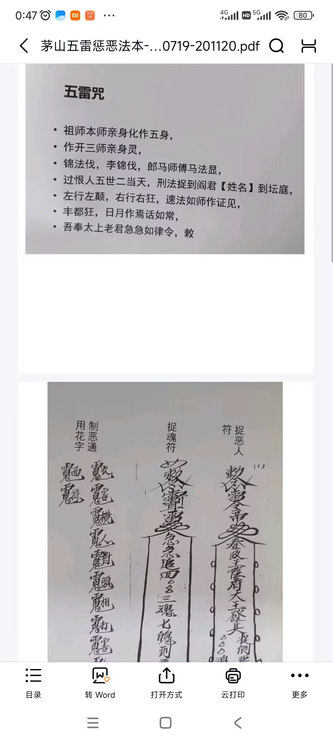 茅山五雷惩恶法 视频+文档