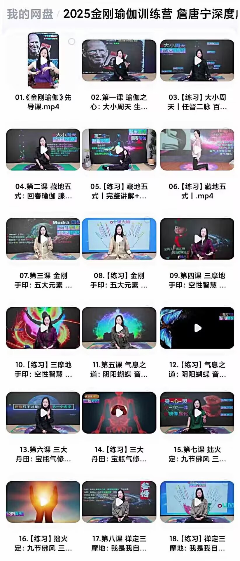 唐詹宁新课 金刚瑜伽 视频课 18集