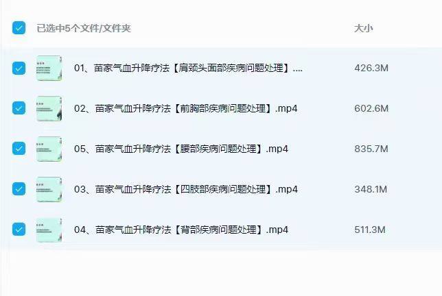 苗家气血升降疗法5集