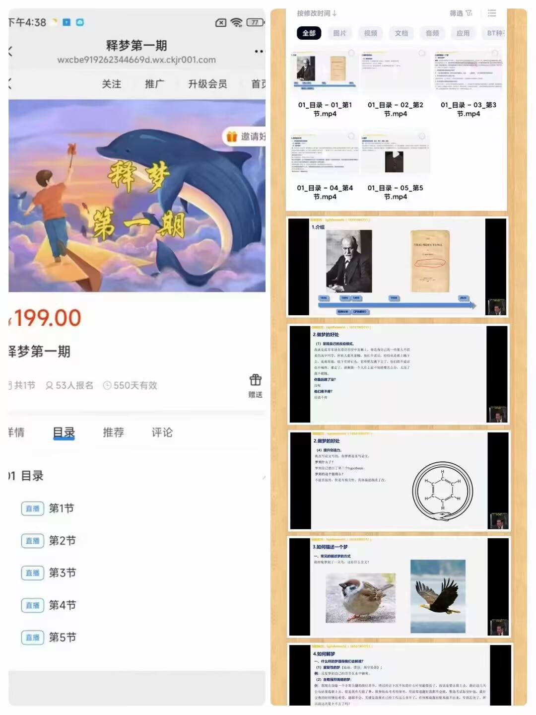 【释梦课程】照明东方老师最新释梦第一期视频课程