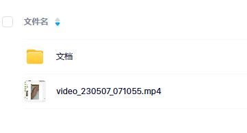 法灵 神霄符箓秘诀 2天课