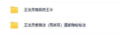 王法灵紫薇法（雨渐耳）道家隐秘秘法等合集 ( 2套）
