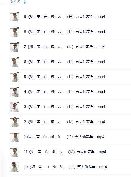 出马仙兵马知识