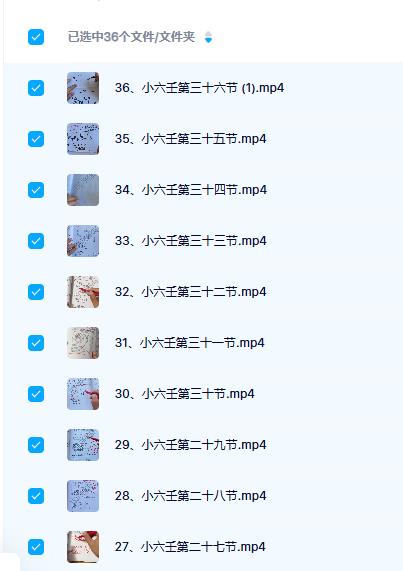 慧智《小六壬马前课》36集