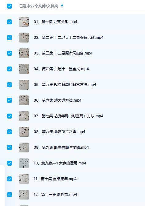 元极堂《小八字一掌经》27集