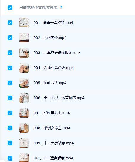 孙真坤一掌经39集
