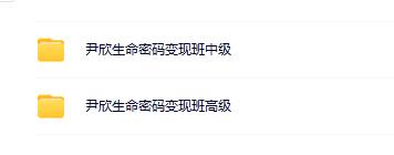 尹欣生命密码变现班中级+高级数字 30集视频+课件