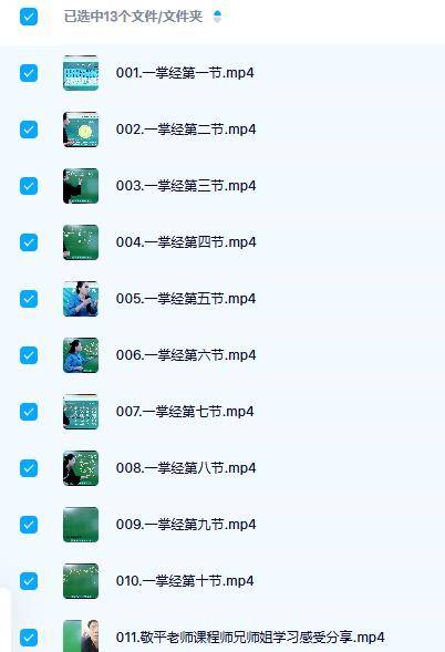 张敬平一掌经