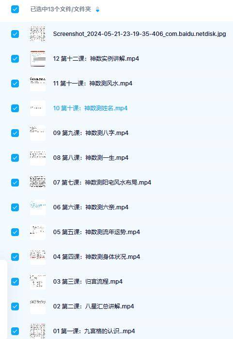 洪苗先生 数字神数12集