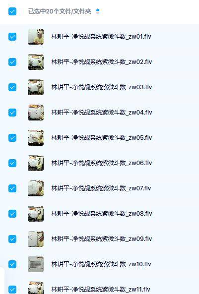 林耕平-净悦觇系统紫微斗数视频20讲
