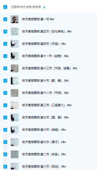 云毅紫微面相13集