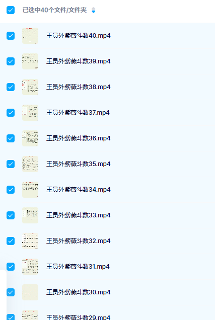 王员外紫微斗数40集