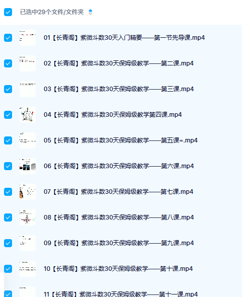 长青阁紫薇斗数30天保姆教学初级班29集