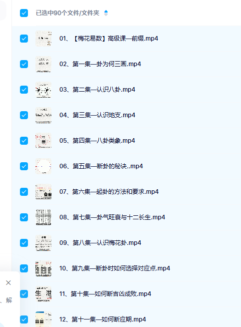 戴荣君—【梅花易数-八卦梅花术系统课程】89集