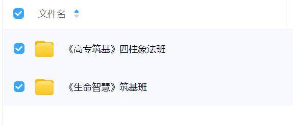 宽元堂 盲派八字象法班 20集