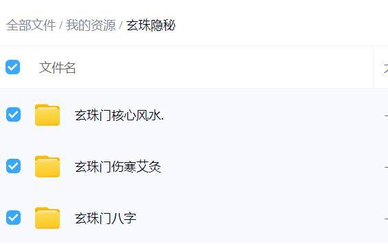 玄珠隐秘八字风水伤寒合集（3套）
