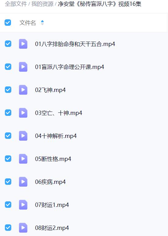 净安堂《秘传盲派八字》视频16集