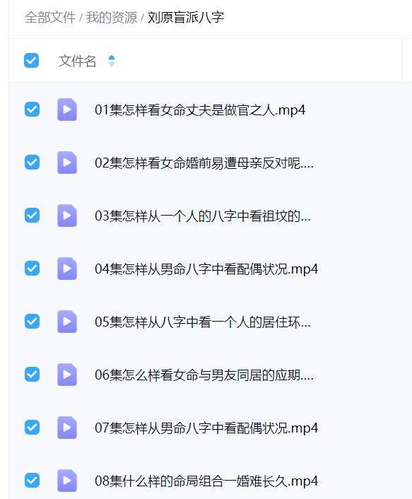 刘原盲派八字36集